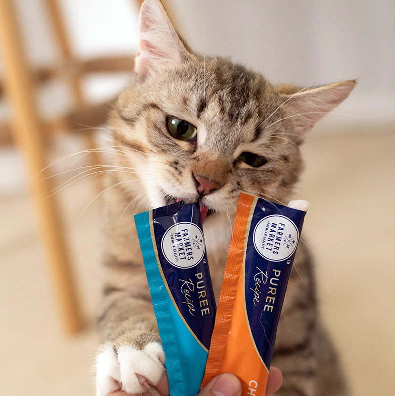 Premium Health And Nutrition Cat Strap